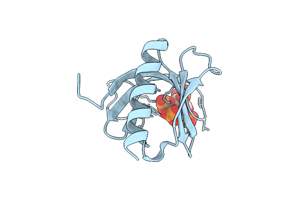 1FAO image