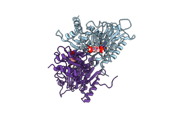 1FBD image