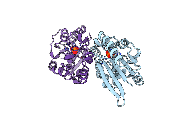 1FBT image