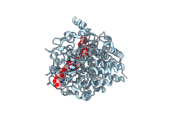 1FBW image