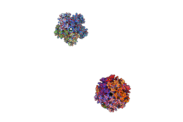 1FBX image