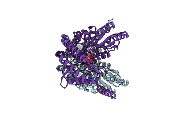 1FC4 image