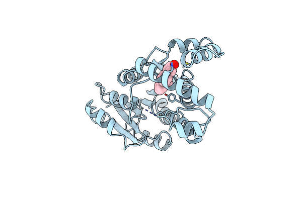 1FDS image