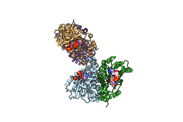 1FDV image