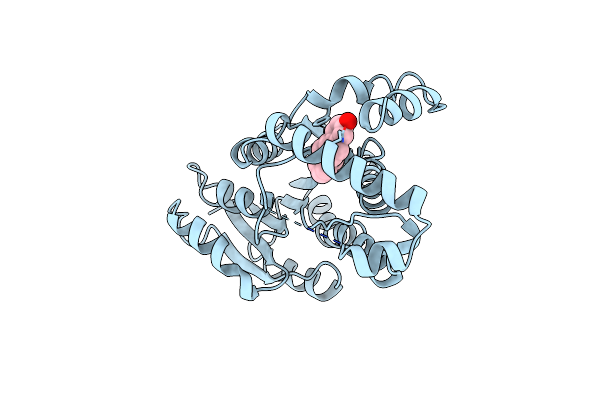 1FDW image