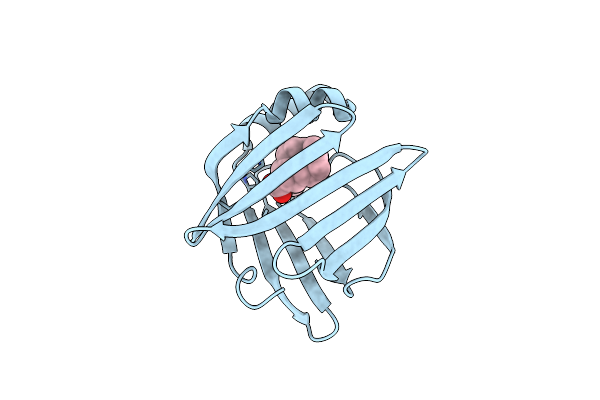 1FE3 image