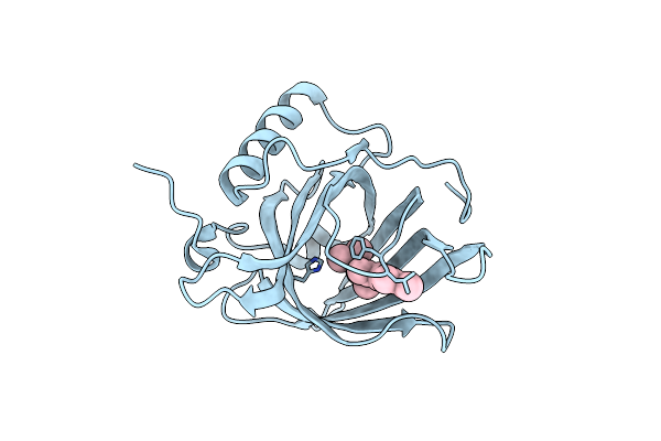 1FEN image