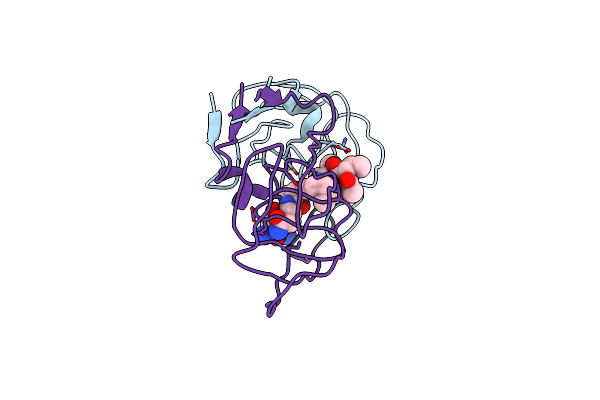 1FFI image