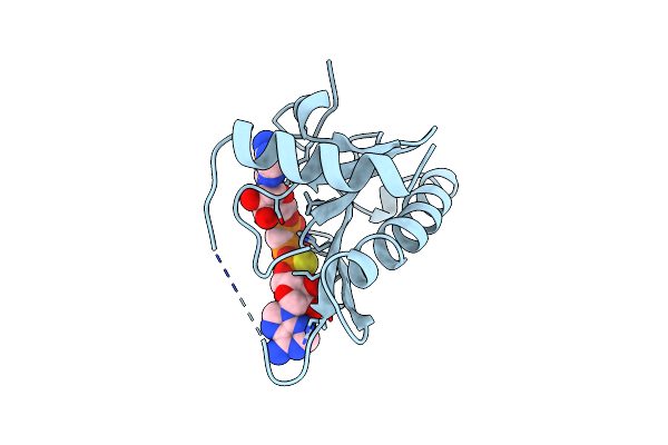 1FHI image