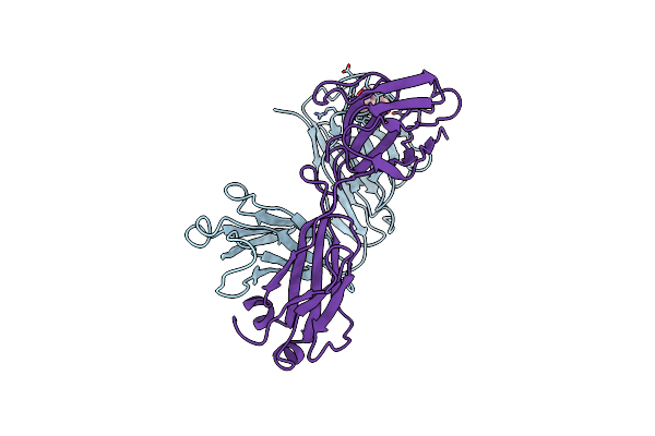 1FIG image