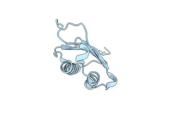 1FIM image
