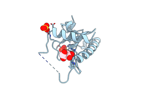 1FIT image