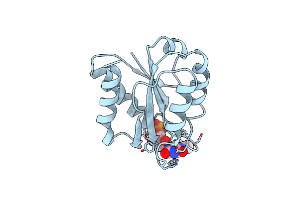 1FLA image