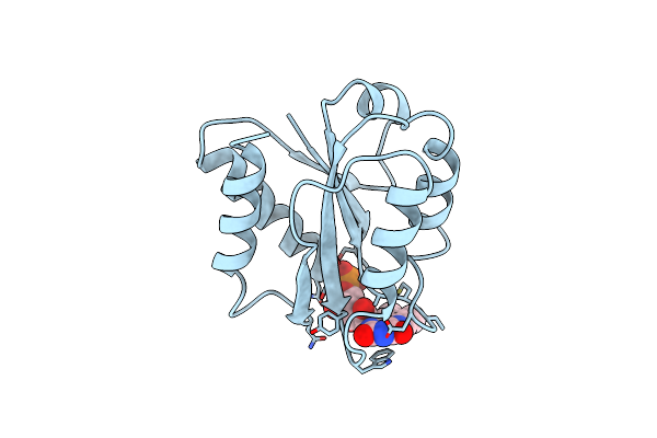 1FLD image