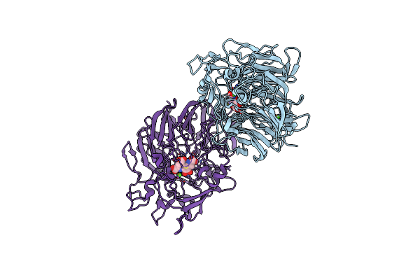 1FLG image
