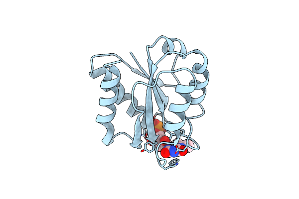 1FLN image