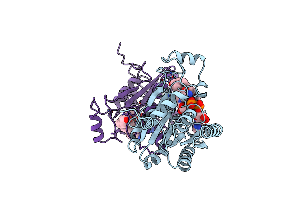 1FMC image