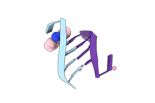 1FN1 image