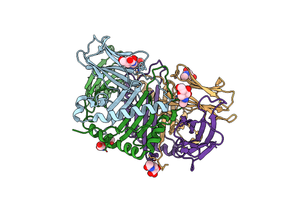 1FNE image