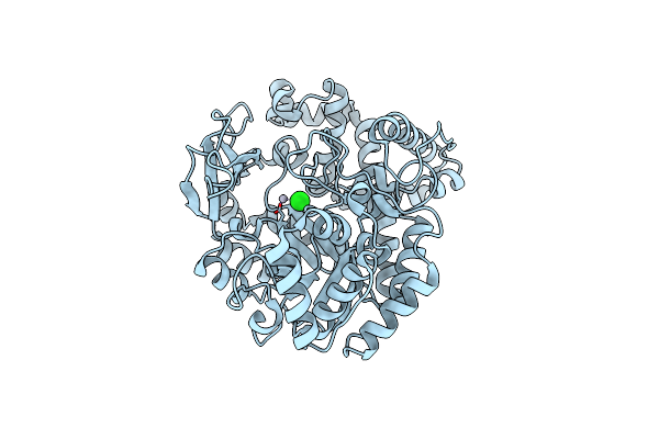 1FP8 image