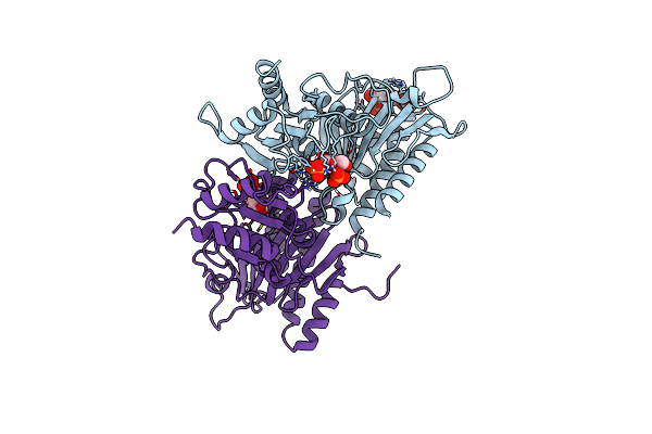 1FPB image