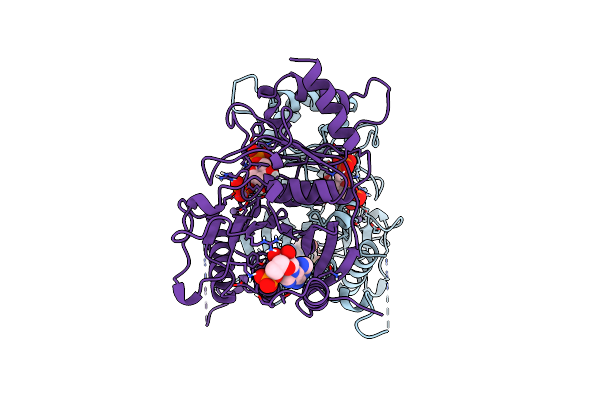 1FPD image