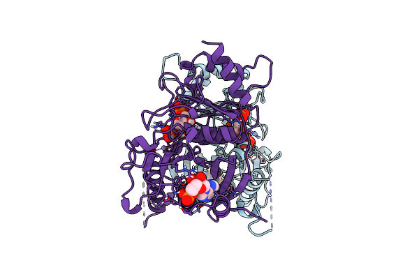 1FPG image