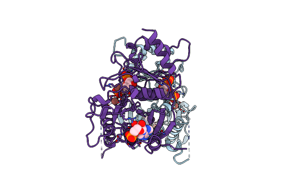 1FPJ image