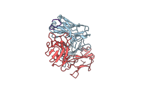1FPT image