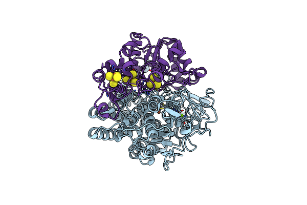 1FRF image