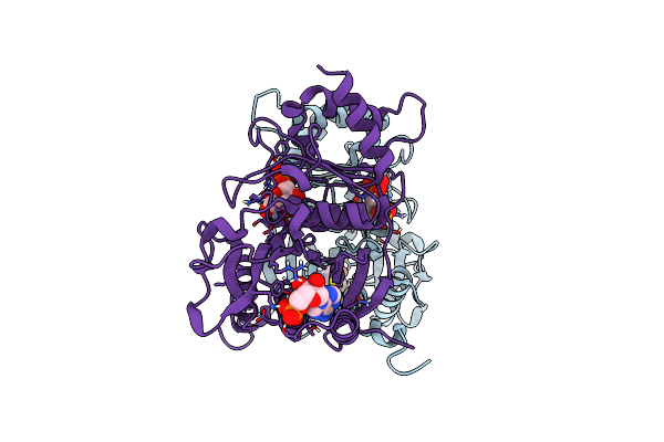 1FRP image