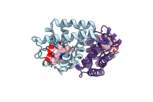1FSL image