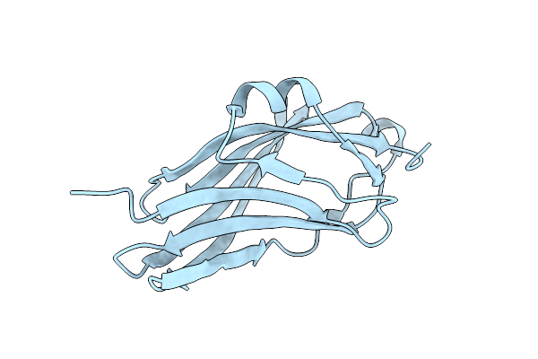1FSO image