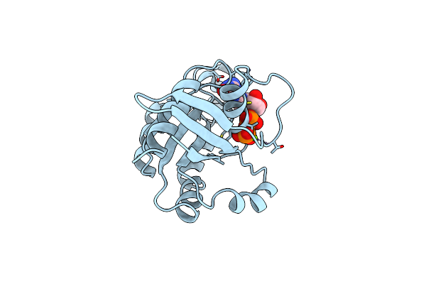 1FTN image