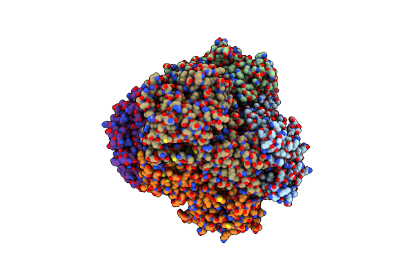 1FUI image