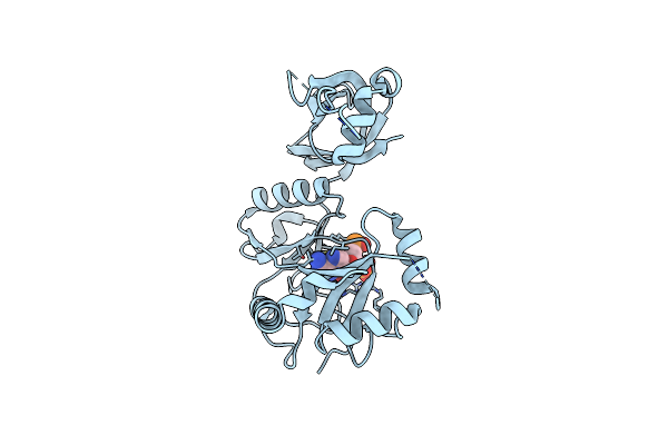 1FVI image