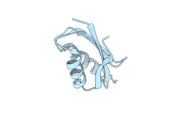 1FVS image