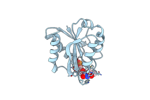 1FVX image