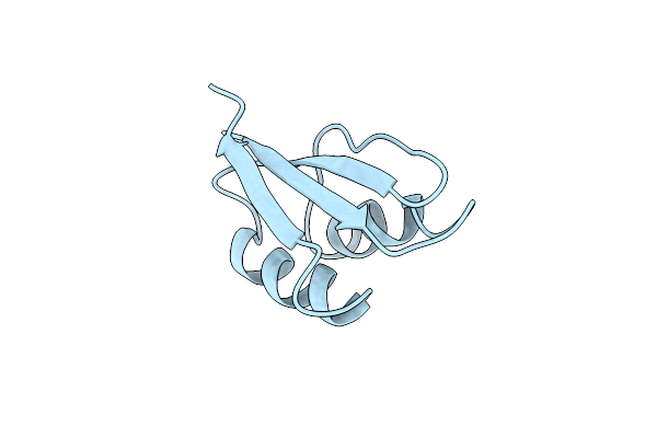 1FWP image