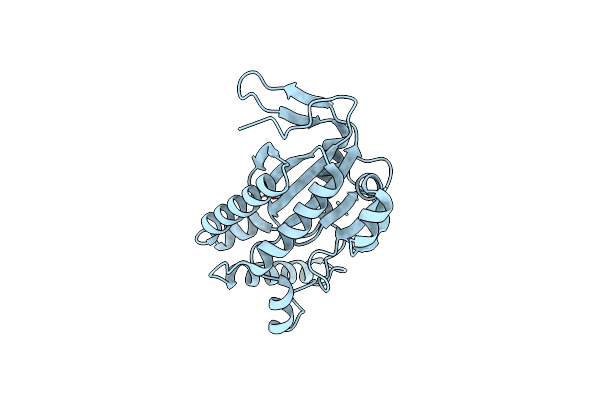 1FX4 image