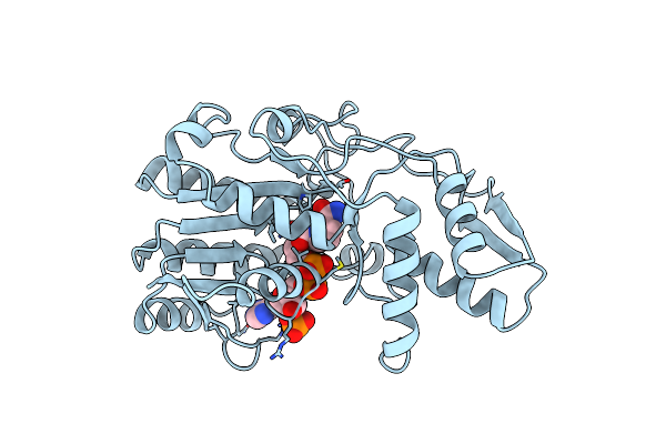 1FXS image