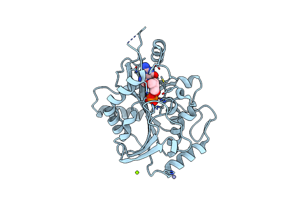 1FXU image