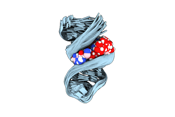 1FYP image
