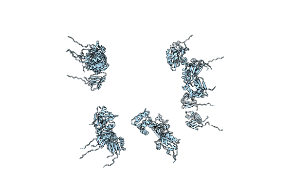 1G11 image