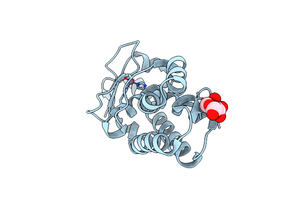 1G12 image