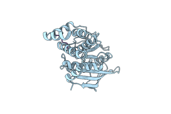 1G1H image