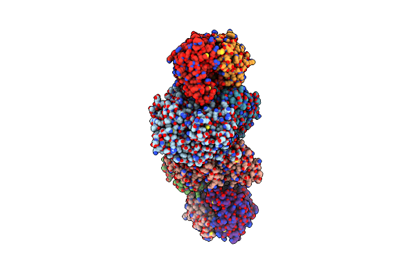 1G20 image