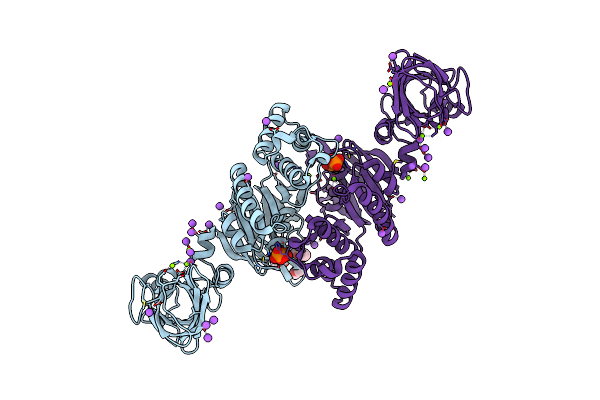 1G29 image