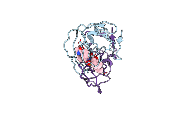 1G2K image