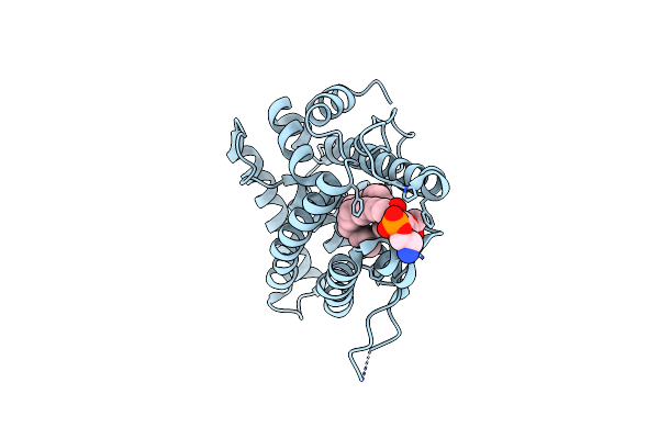 1G2N image